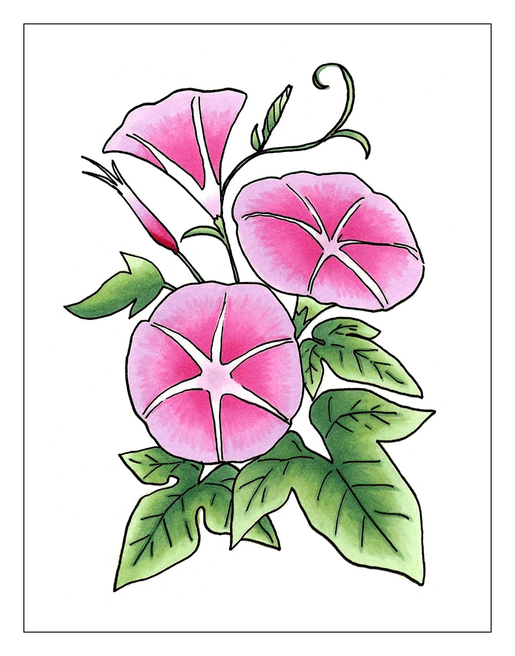 copic-sketch-marker-set-color-fusion-2-3-pinsel-marker image 3
