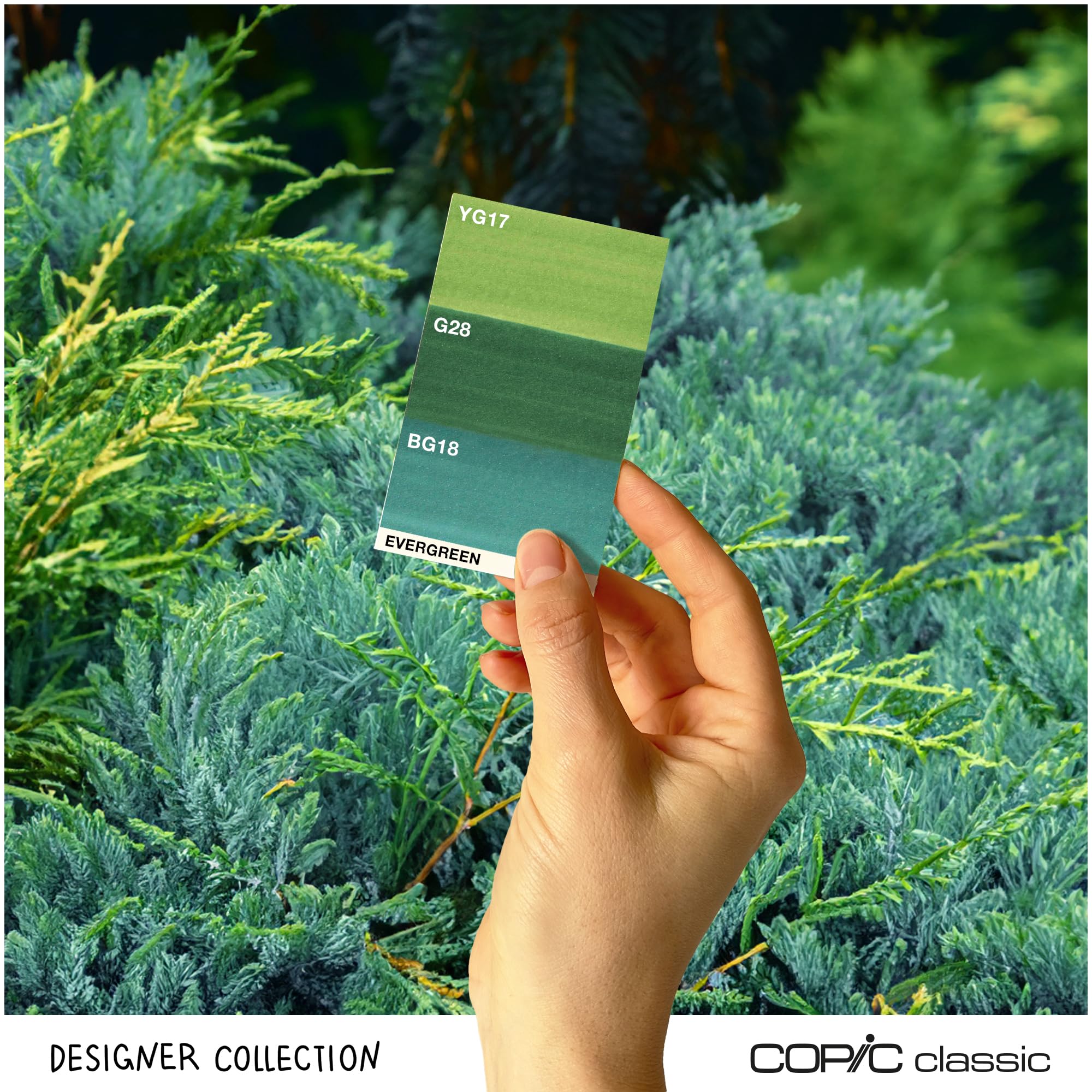 copic-classic-designer-collection-evergreen-tints-3-twin-marker-yg17-g28-bg18 image 2