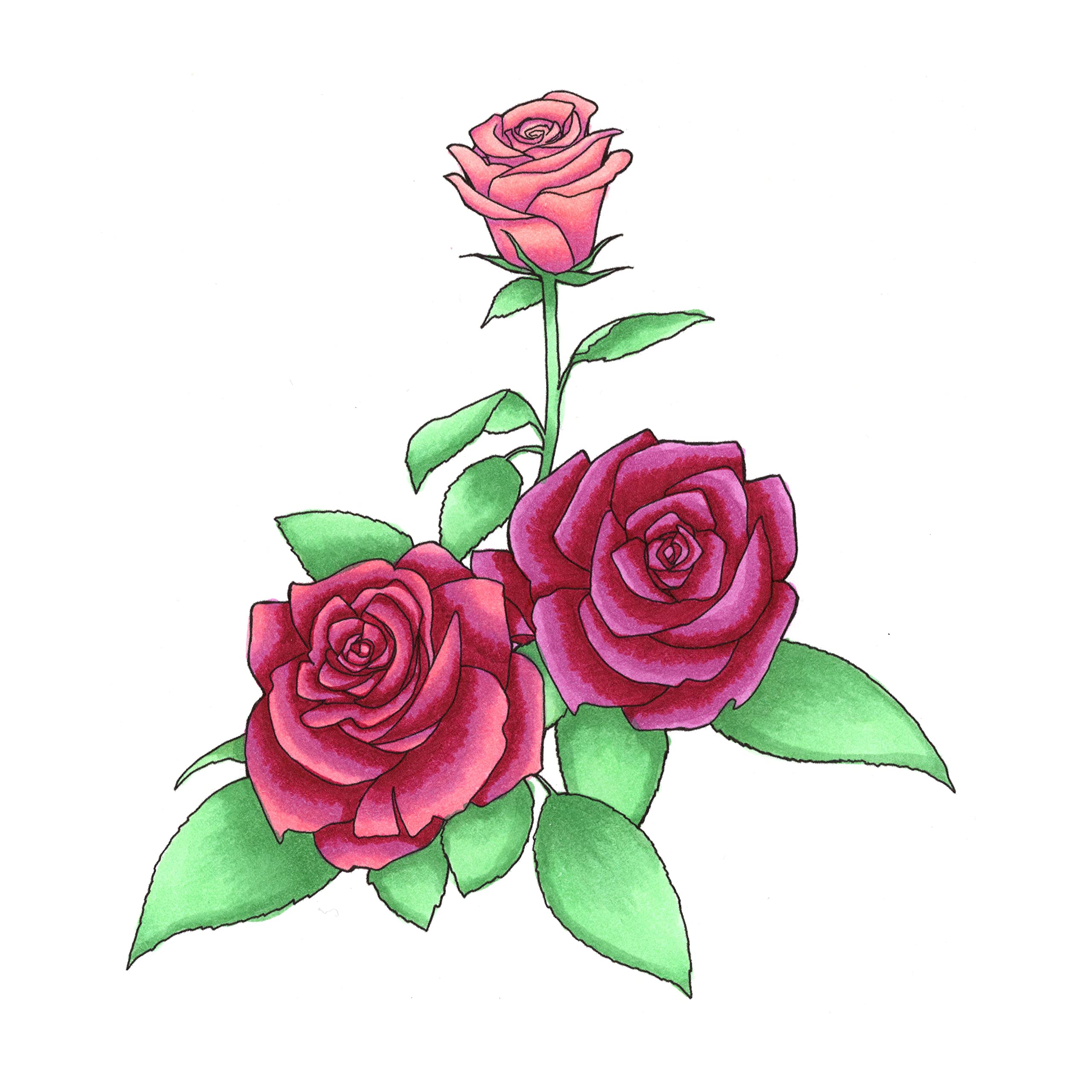 copic-sketch-set-floral-favorite-1-6-twin-marker-brush-medium-broad image 3