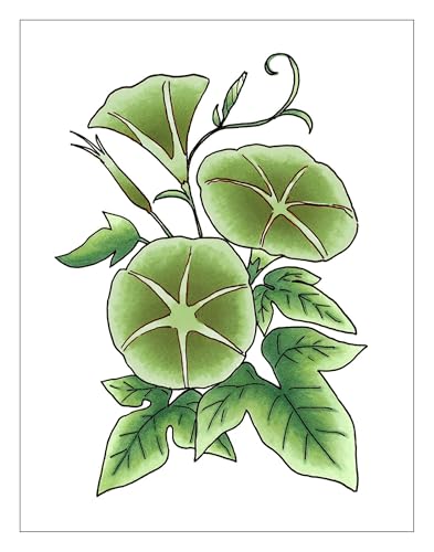 copic-sketch-marker-set-color-fusion-5-3-pinsel-marker-profi-set image 7