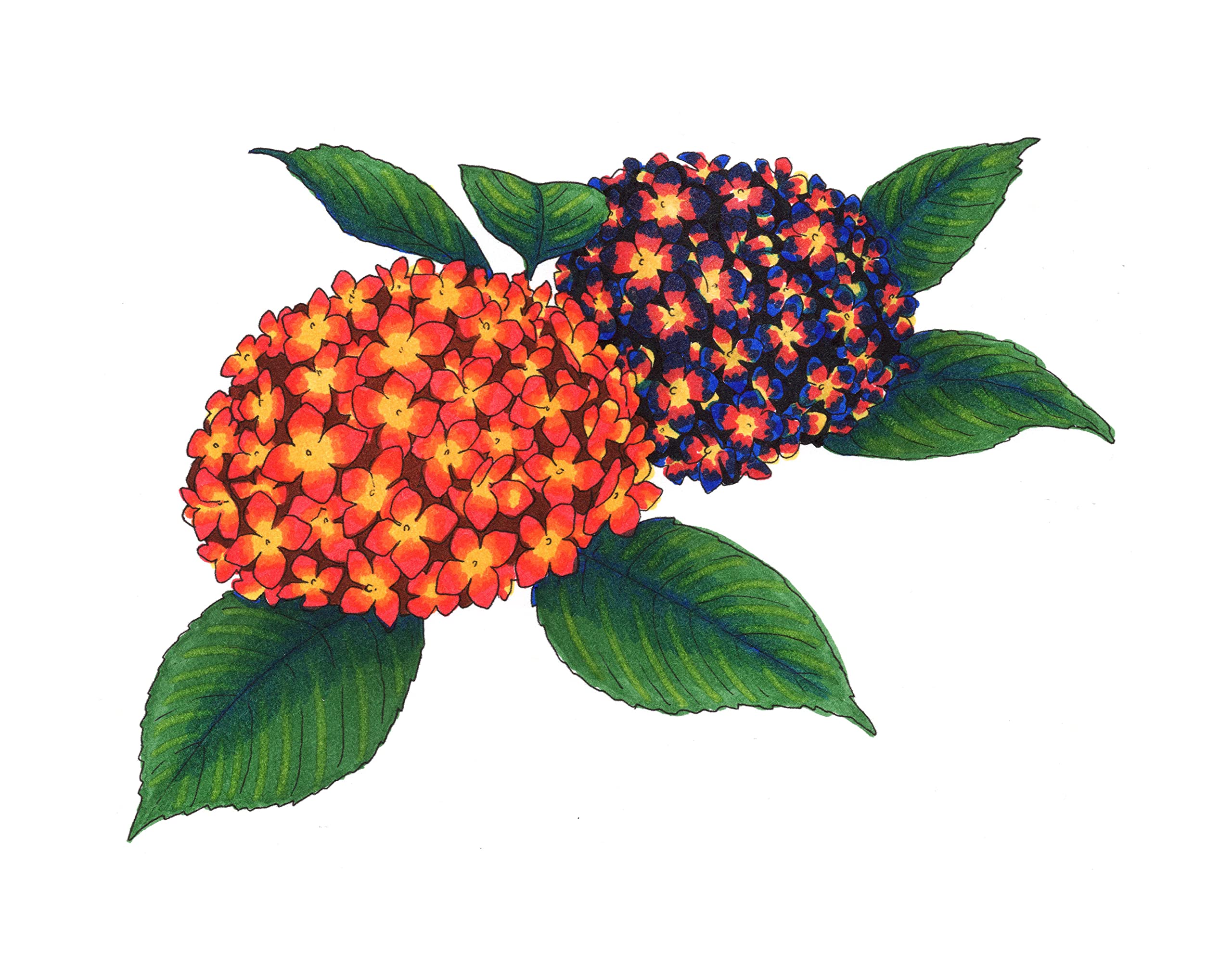 copic-sketch-set-bold-primaries-6er-twin-marker-brush-medium-broad image 3